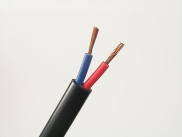 Vastgelopen Koper Flexibele Kabel Twee Kern en Aardekabel 300V/550V